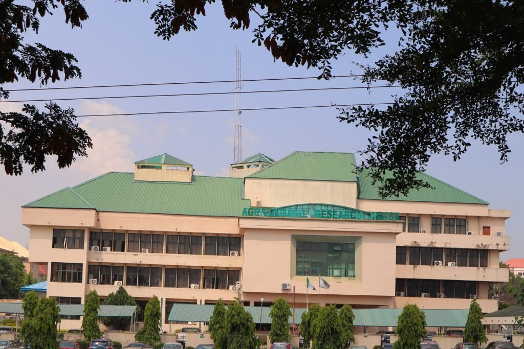 Land Registry Search in Nigeria: How to Verify a Title Before You Pay