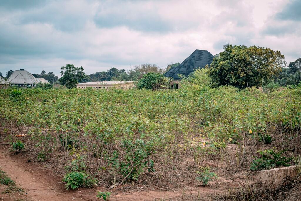 How to Buy Farmland in Nigeria: What to Check Before You Pay